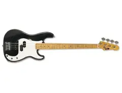 LTD Vintage-204 Maple main image