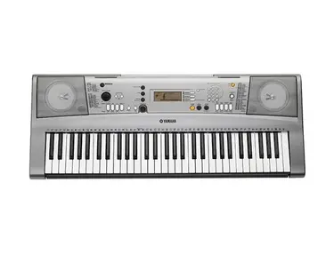 Yamaha YPT-310