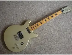 Barclay Double Cutaway electric guitar main image
