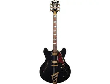 D'Angelico Excel DC