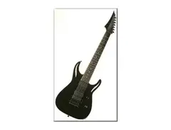 GMW Guitarworks Millenium 7 String main image