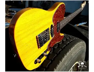 Robin Rawhide Nashville Telecaster