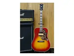 Orville by Gibson Hummingbird main image