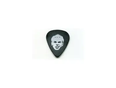 Dunlop Custom Tortex, .73mm (artwork varies each tour)