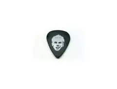 Dunlop Custom Tortex, .73mm (artwork varies each tour)