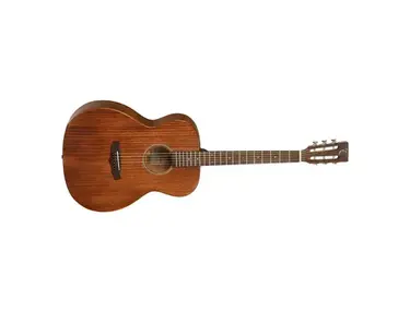 Tanglewood TW130