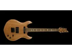 Screaming Eagle Custom Guitar