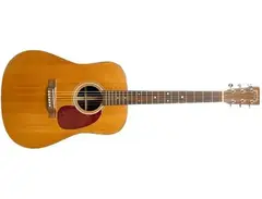Martin D-1R main image