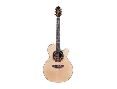 Takamine LTD 2000