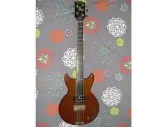 Jacobacci Jannick Top Fret Cello
