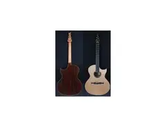 Cuntz CWG23 Mike Dawes Indian Rosewood Model Acoustic