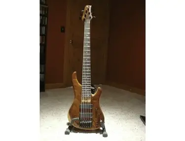 G. Gould GGi6 6-string bass