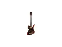 FERNANDES MG-CUSTOM main image