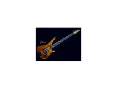Manne Newport 5 strings