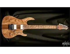 Kiesel PA1 main image