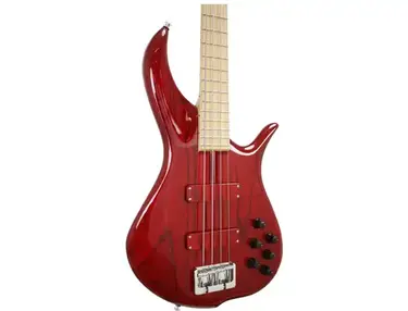 F Bass BN - Fretted Series