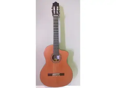 Goyette Elite Classical Electric