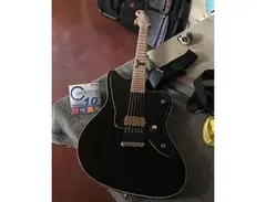 D&D Custom Guitars Black Raven