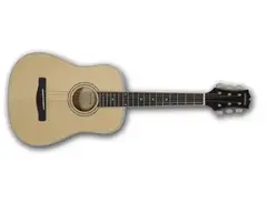 Mitchell DJ120 Mini-Dreadnought main image