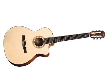 Taylor NS24ce Grand Auditorium Nylon String