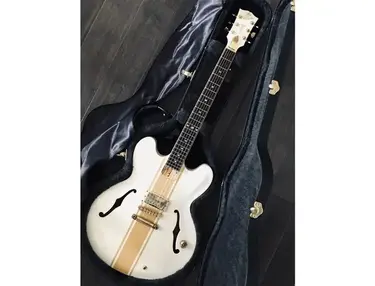 Gibson Tom DeLonge Signature ES-333 - Custom Shop