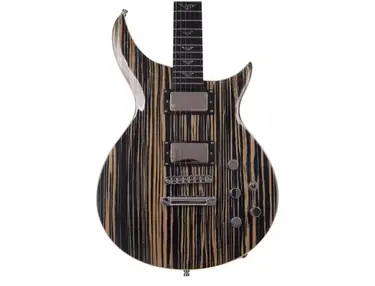 Jarrell JZS-1 Guitar