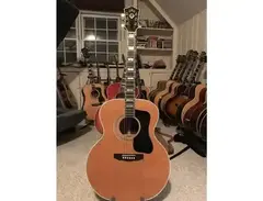 Guild F-50R Acoustic main image