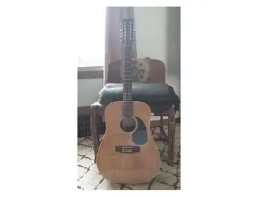 1981 Monterey 12 String (Made in Korea)