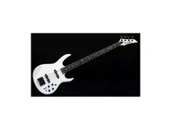 Carvin LB70
