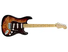 Fender Stratocaster Southern Cross with Burl Maple