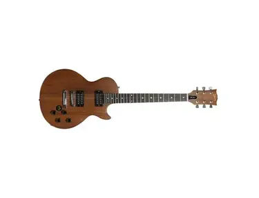 Gibson The Paul