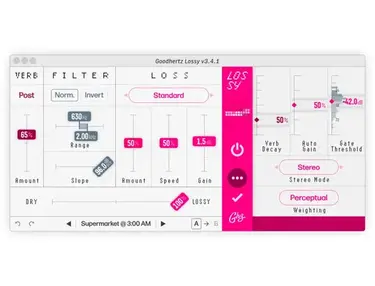 Goodhertz Lossy