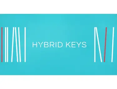 Native Instruments Hybrid Keys