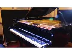 Rippen Grand Piano main image