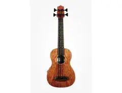 Kala Bubinga U-Bass main image