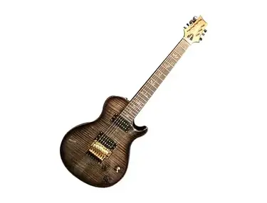 Custom Munky PRS Guitar