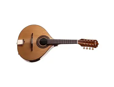 Rozini Mandolin