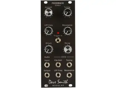 Dave Smith Instruments DSM03 Feedback