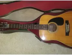Fender F-80-12 main image