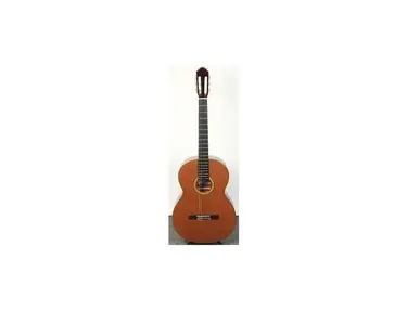 Carl Hellweg Octave Guitar