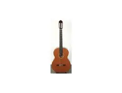 Carl Hellweg Octave Guitar
