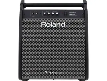 Roland PM-200