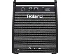 Roland PM-200