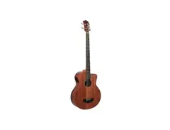 Tagima AB400 MAHOGANY Acoustic Bass Guitar main image