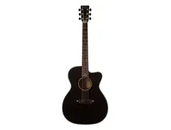 Martin 000CBD Dion “The Wanderer” main image