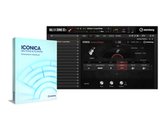 Steinberg  Iconica Sections & Players main image