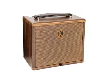 Kinsman KAA25 25w accoustic guitar amp