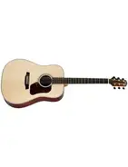 Walden Guitars D710E-M1A main image