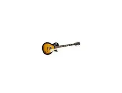 SX Guitars Les Paul EE-3 main image