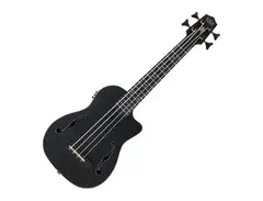 Kala U-Bass "The Journeyman"